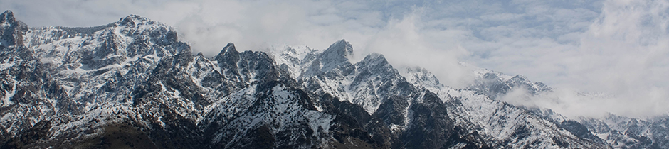 Experience. Integrity. Results.