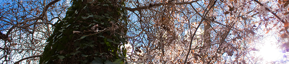 Experience. Integrity. Results.