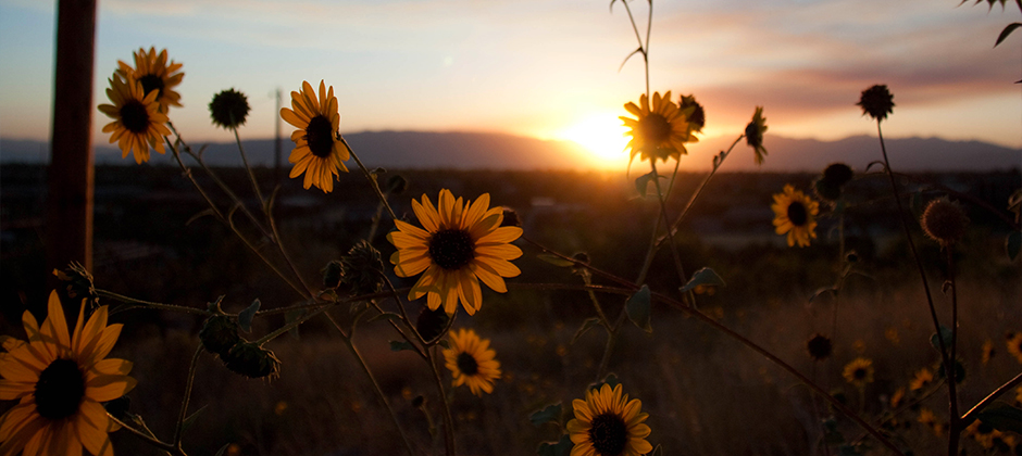 Experience. Integrity. Results.